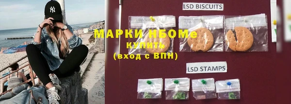 ПСИЛОЦИБИНОВЫЕ ГРИБЫ Осташков