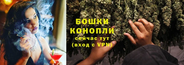 ПСИЛОЦИБИНОВЫЕ ГРИБЫ Осташков