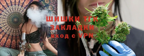 ПСИЛОЦИБИНОВЫЕ ГРИБЫ Осташков