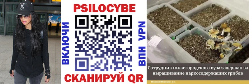 Галлюциногенные грибы мицелий Рыльск